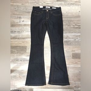 Daytrip Lynx Flare 31 Long